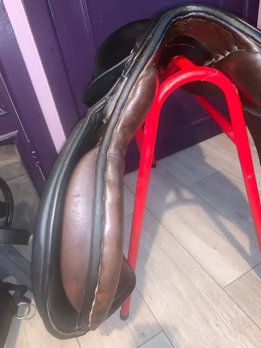18” Berney Saddle - Image 4