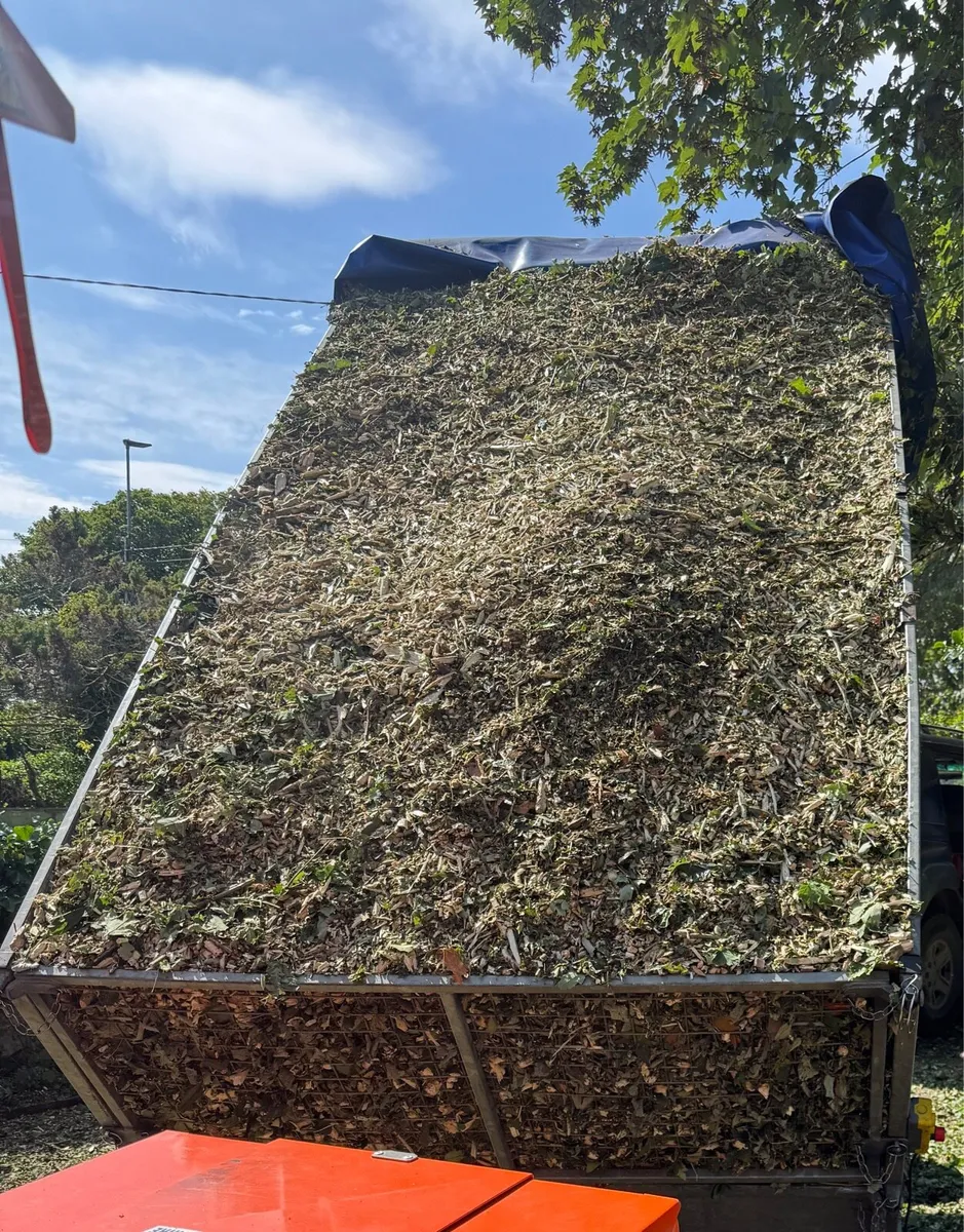 *Special Offer* Full trailer loads of Woodchip - Image 1