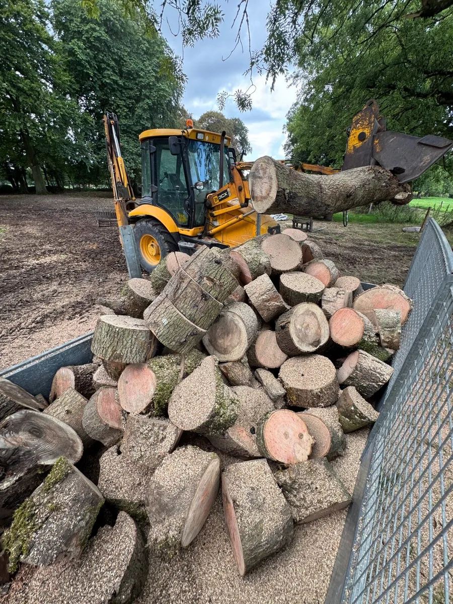 Ash Firewood - Image 1