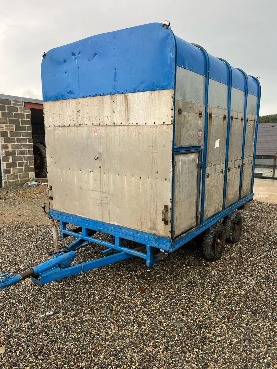 Ifor williams 10 x 6,6 - Image 3
