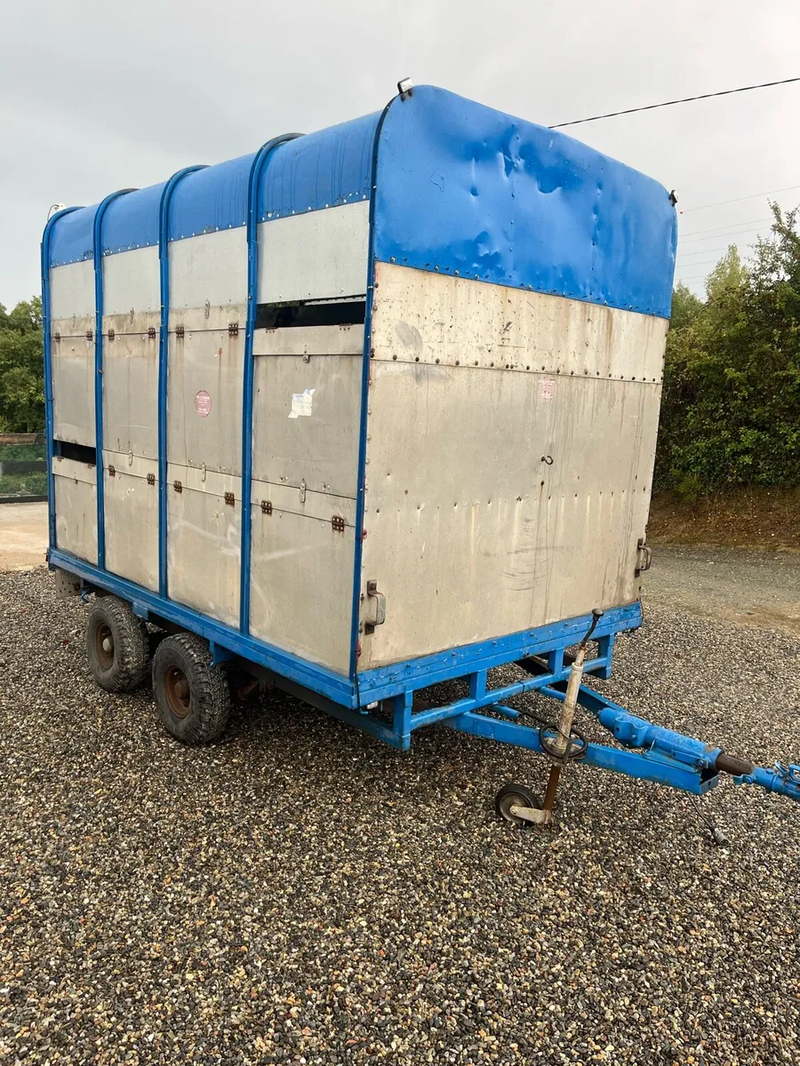 Ifor williams 10 x 6,6 - Image 1