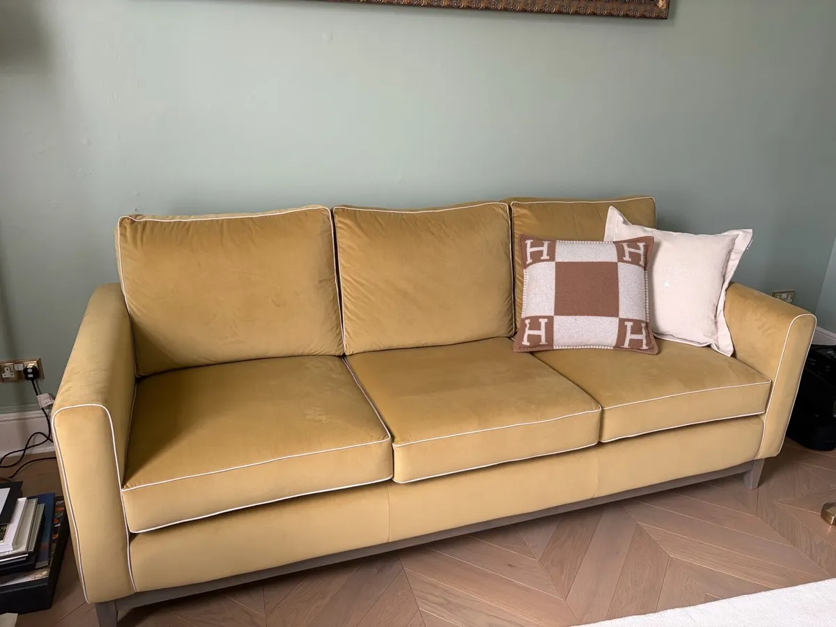 Velvet couch - Image 2