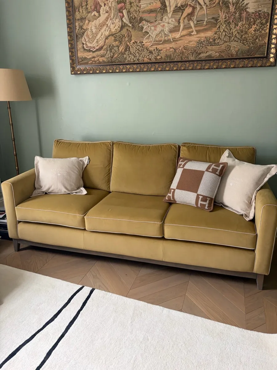 Velvet couch - Image 1