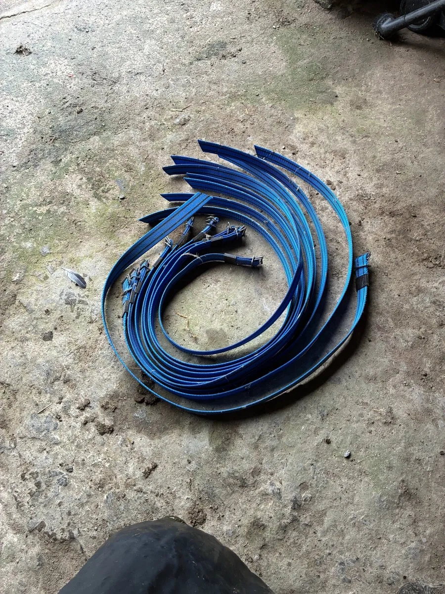 Transponders and 10 new collars - Image 4