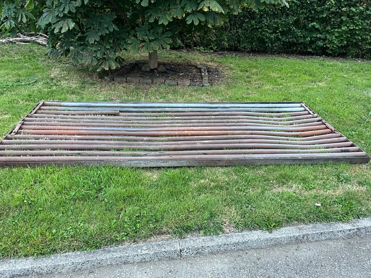 Cattle Grid - Image 1