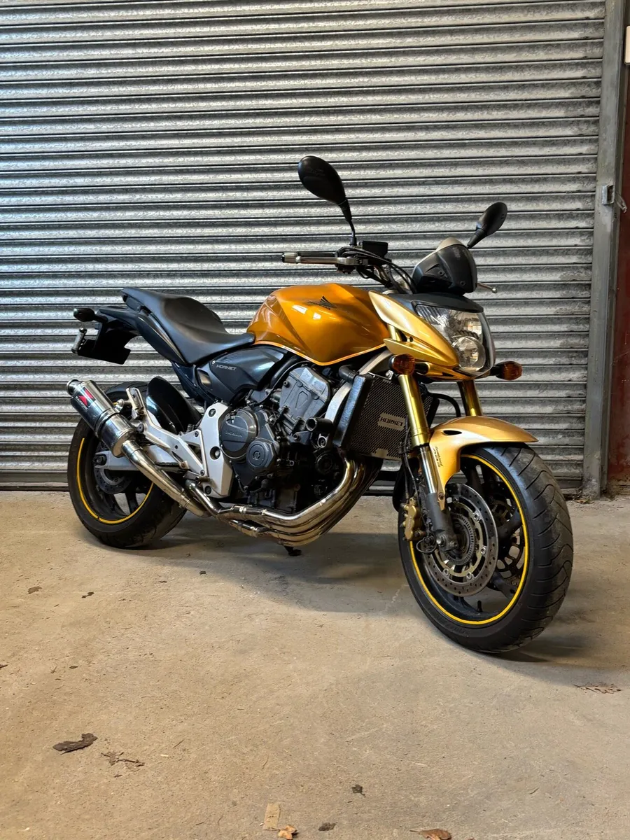 Honda Hornet - CB600F - Image 1