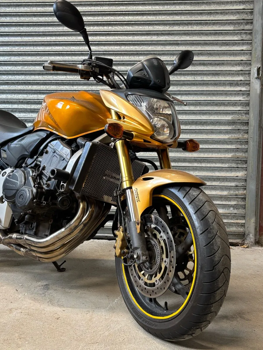 Honda Hornet - CB600F - Image 3