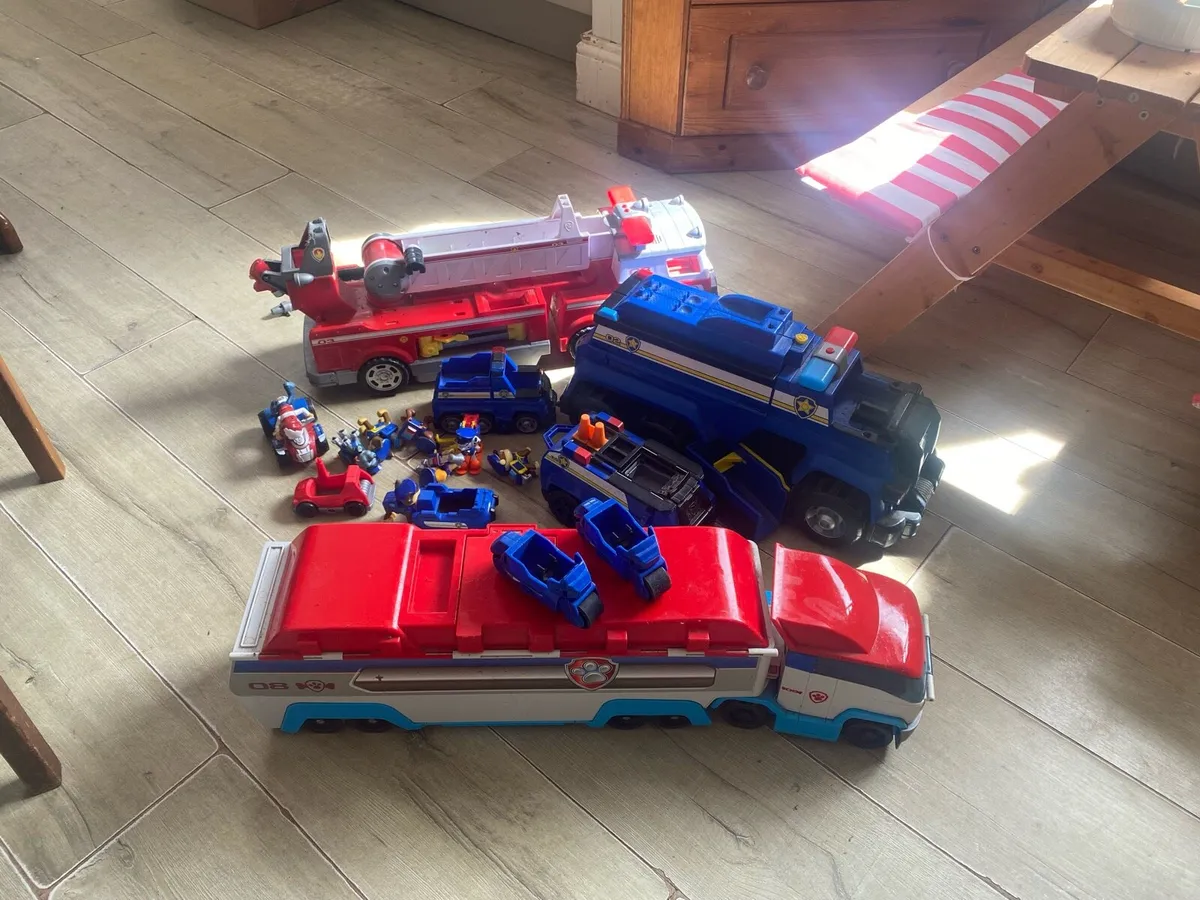 Paw patrol bundle