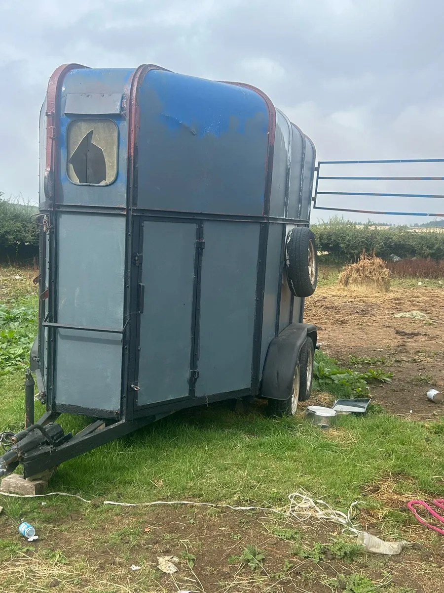 Horsebox - Image 3