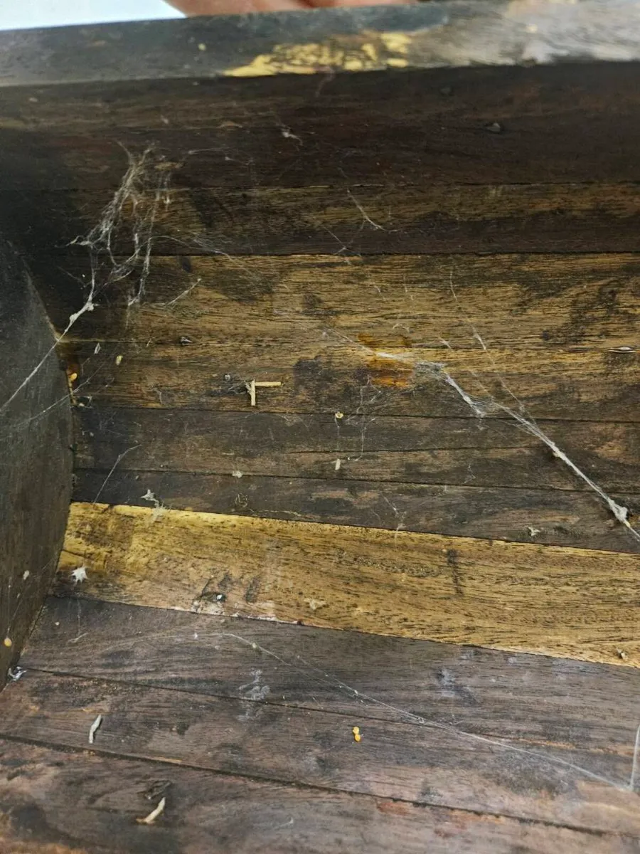 Antique timber box - Image 3