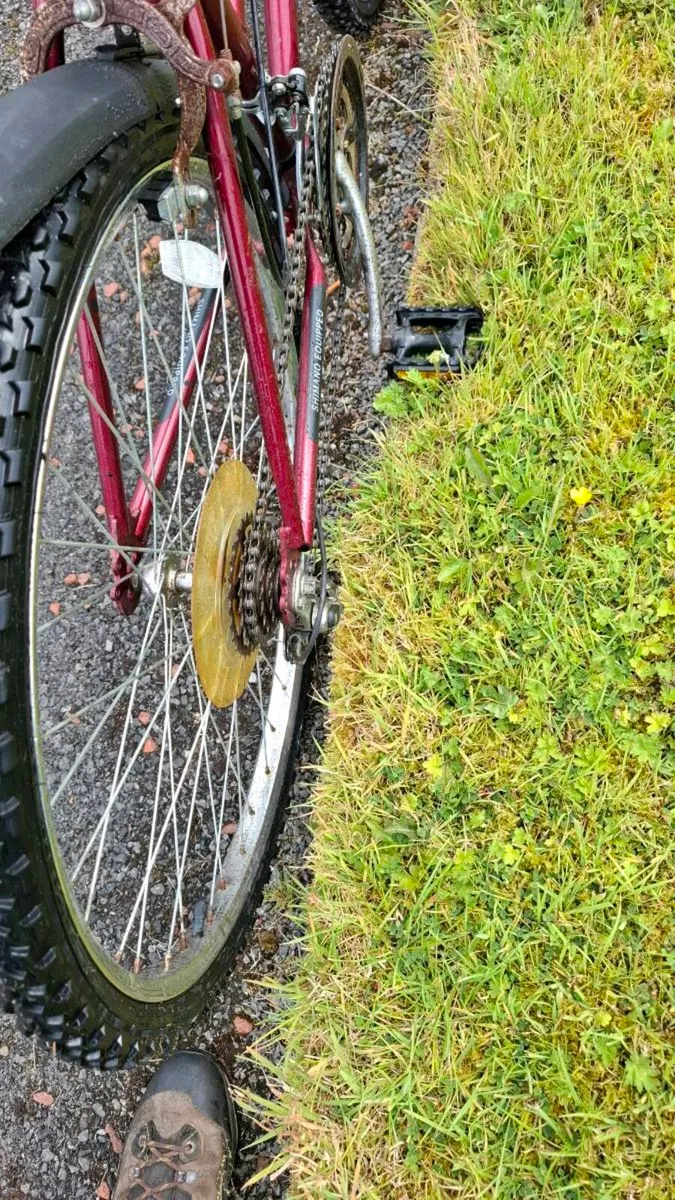 Ladies bicycle - Image 2