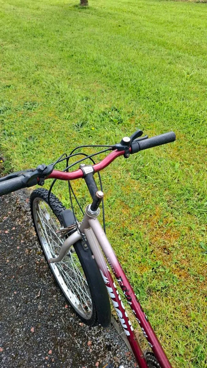 Ladies bicycle - Image 3