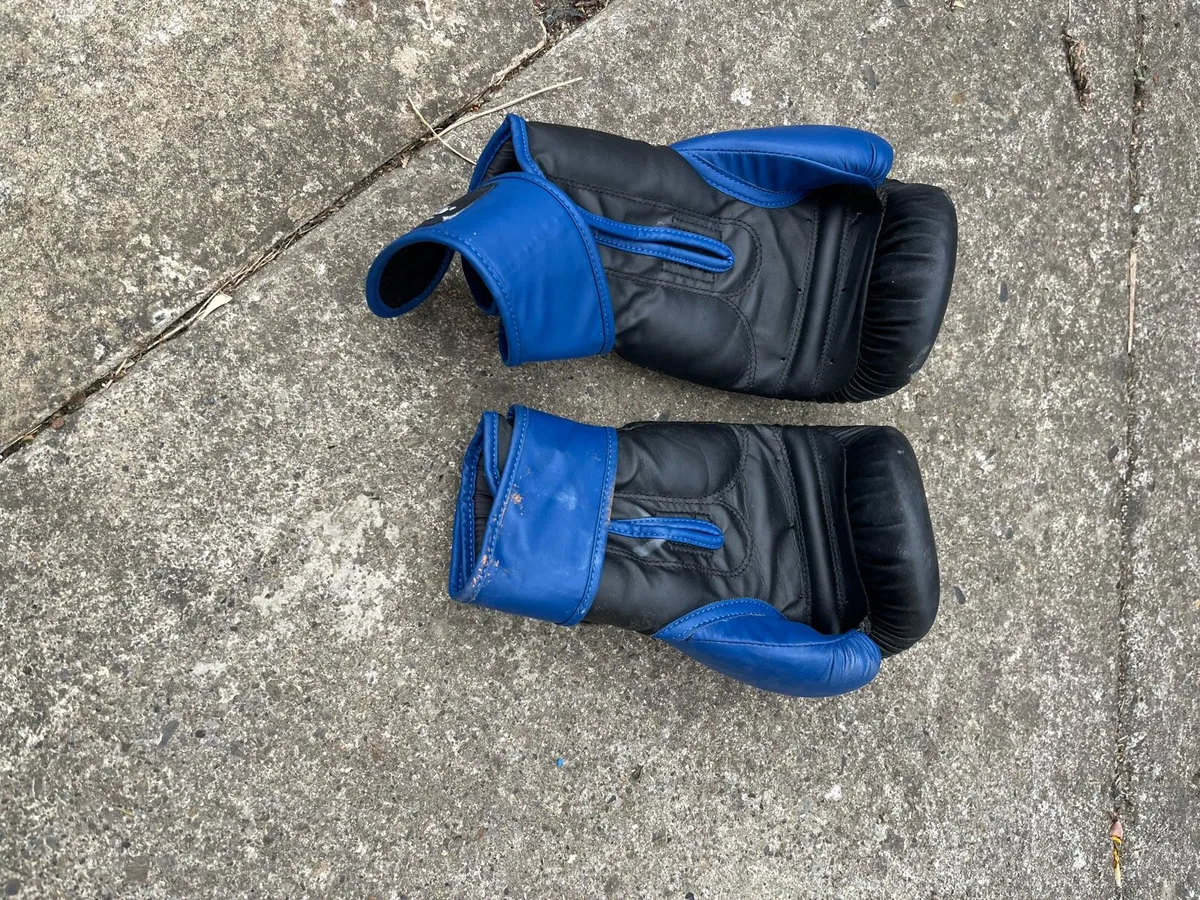 Boxing gloves - Image 1