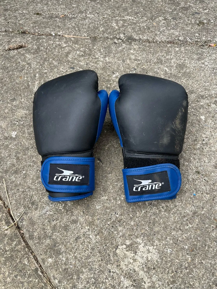 Boxing gloves - Image 2
