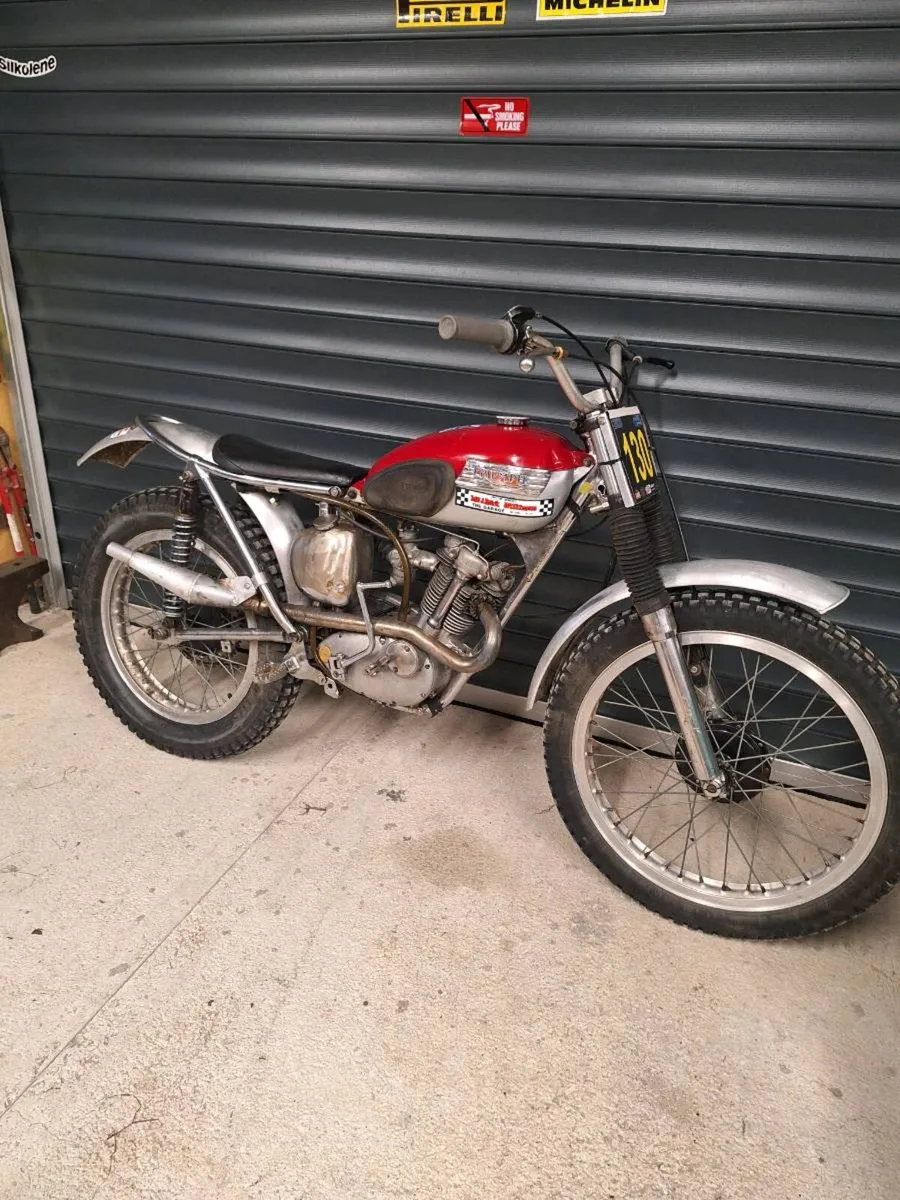 Triumph - Image 3