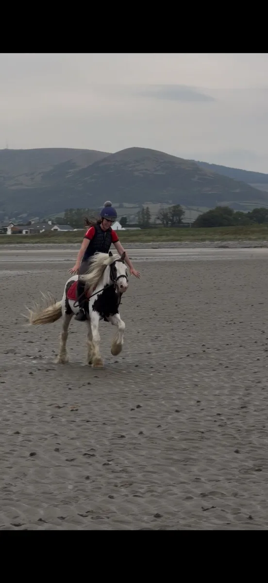 Pony - Image 3