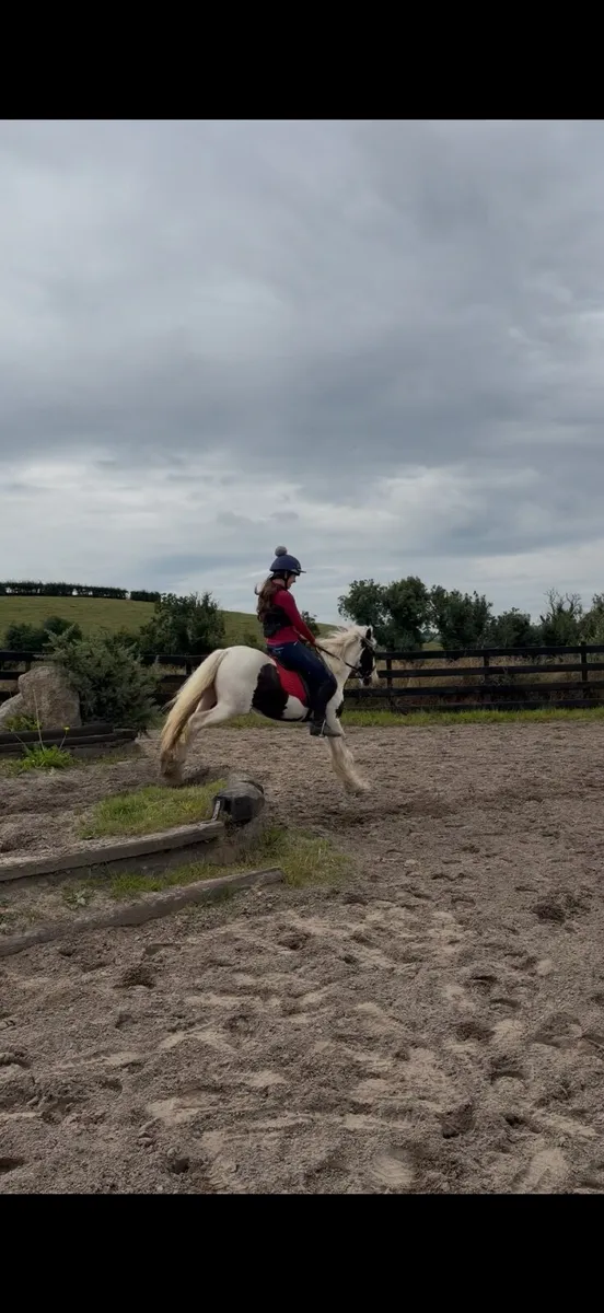 Pony - Image 4