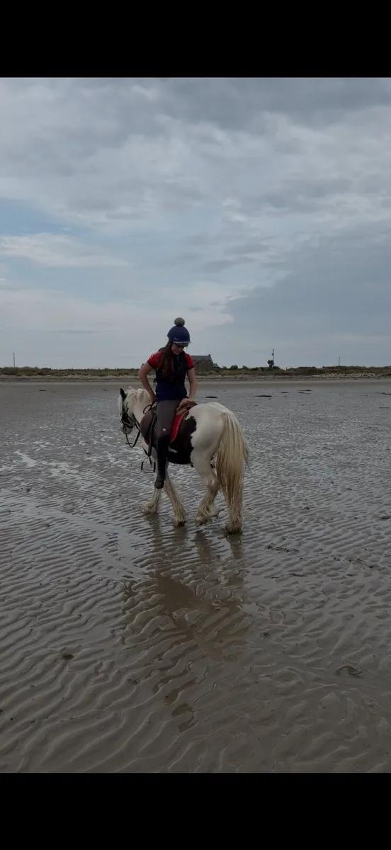 Pony - Image 1