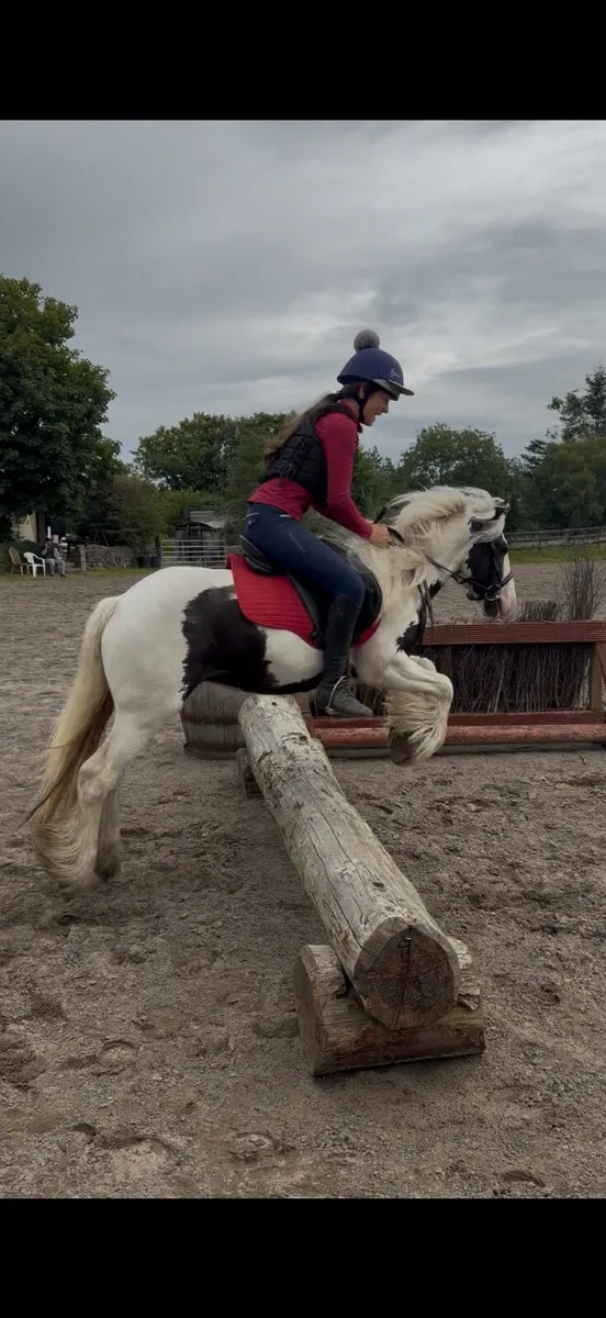 Pony - Image 2