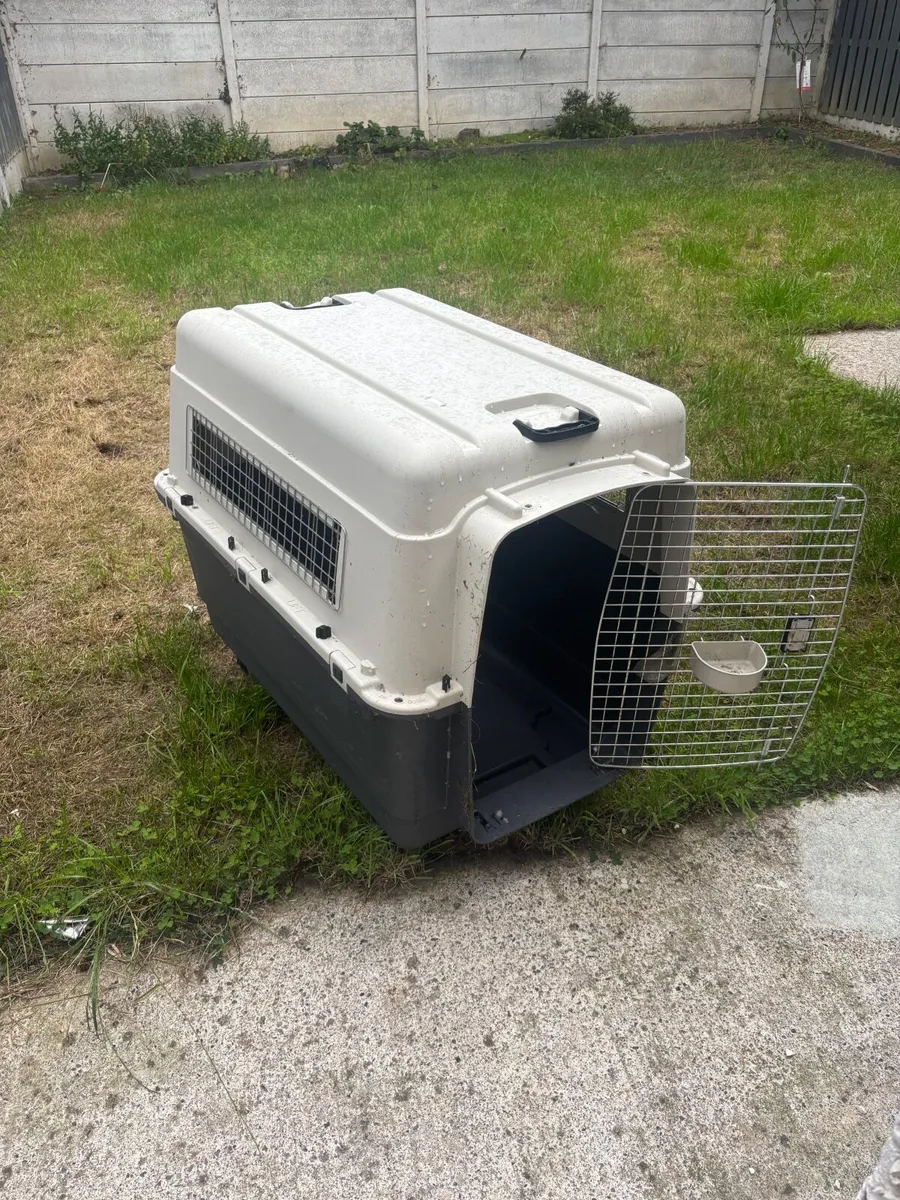 dog crate XL (107cm L107 x W72cm x H79cm) - Image 3