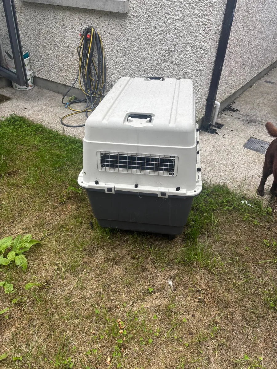 dog crate XL (107cm L107 x W72cm x H79cm) - Image 4