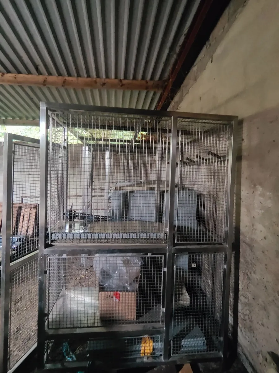 Warehouse shelving and stainless cage - Image 3