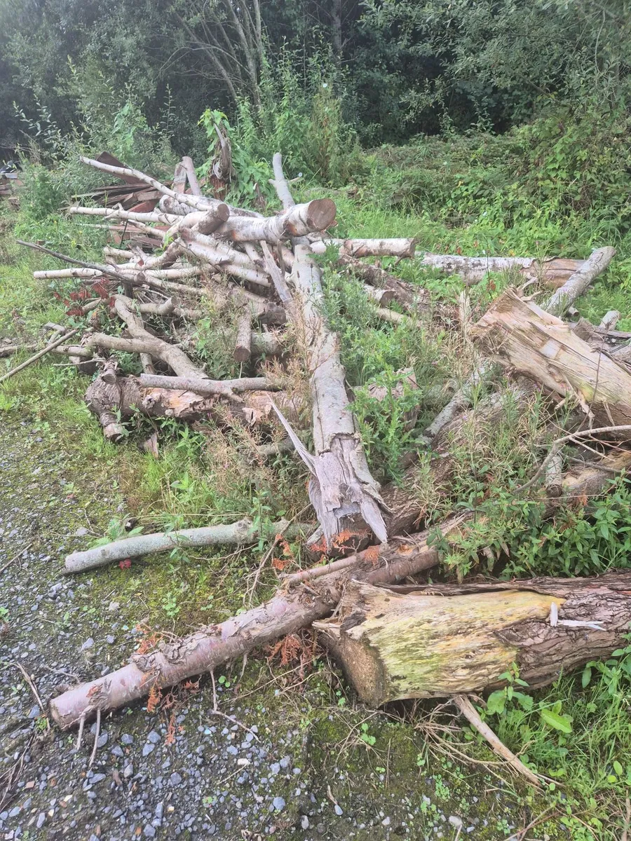 Free Firewood - Image 1