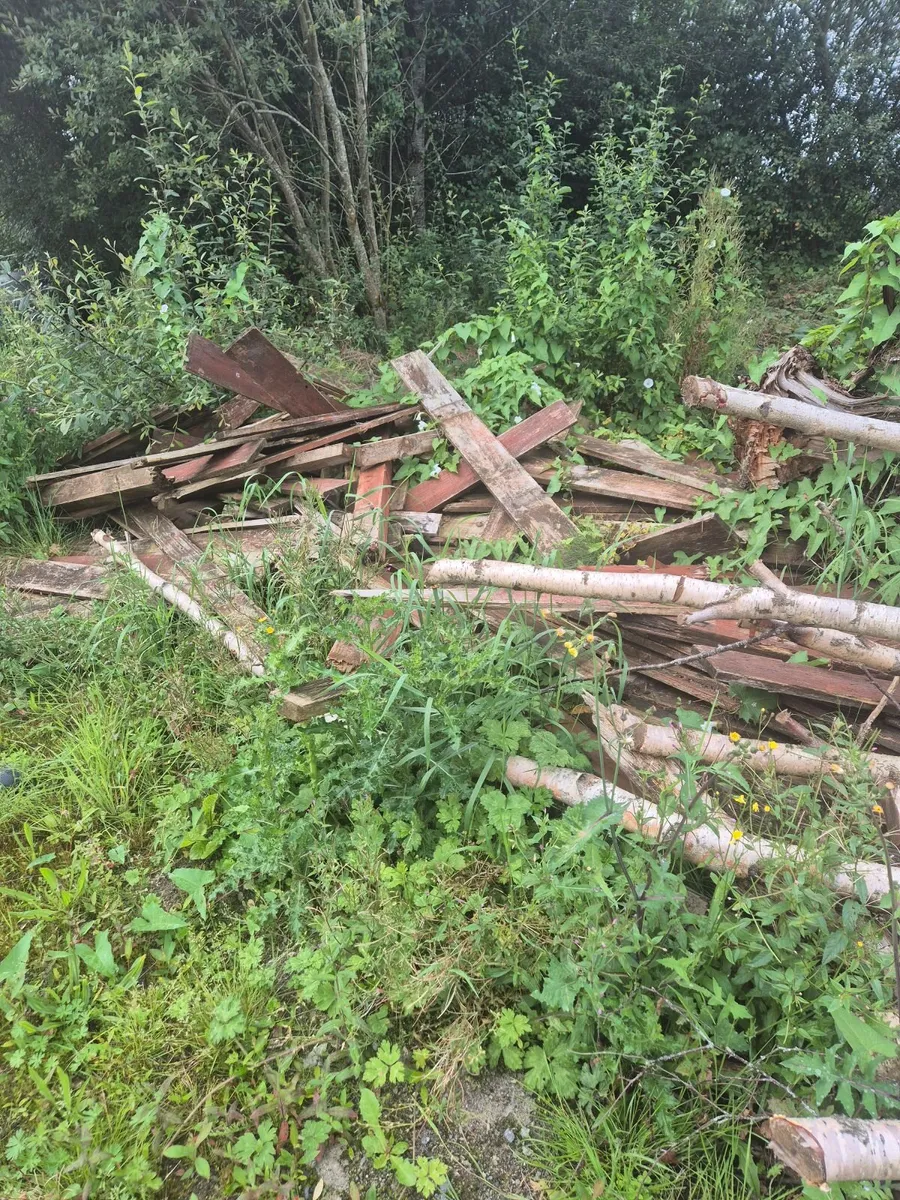 Free Firewood - Image 3
