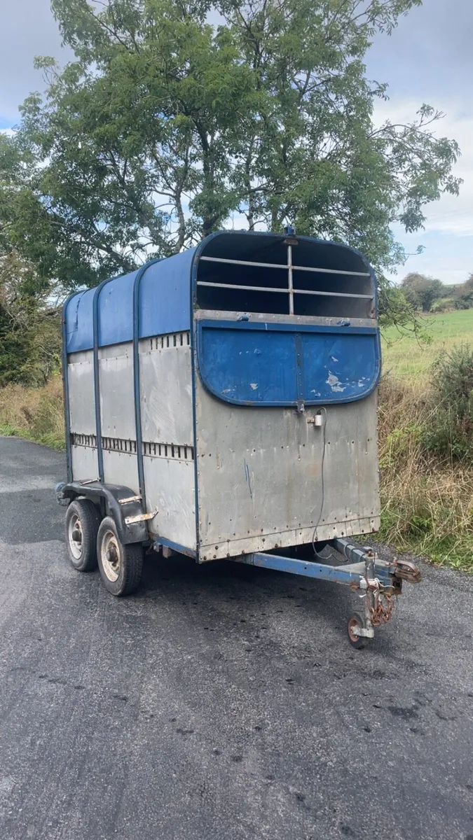 Cattle trailer for sale - Image 1