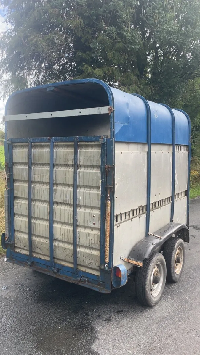 Cattle trailer for sale - Image 2