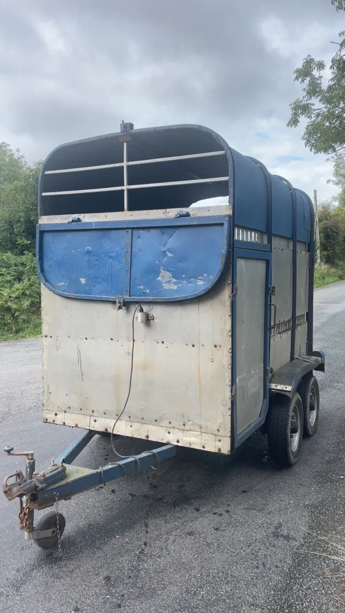 Cattle trailer for sale - Image 3