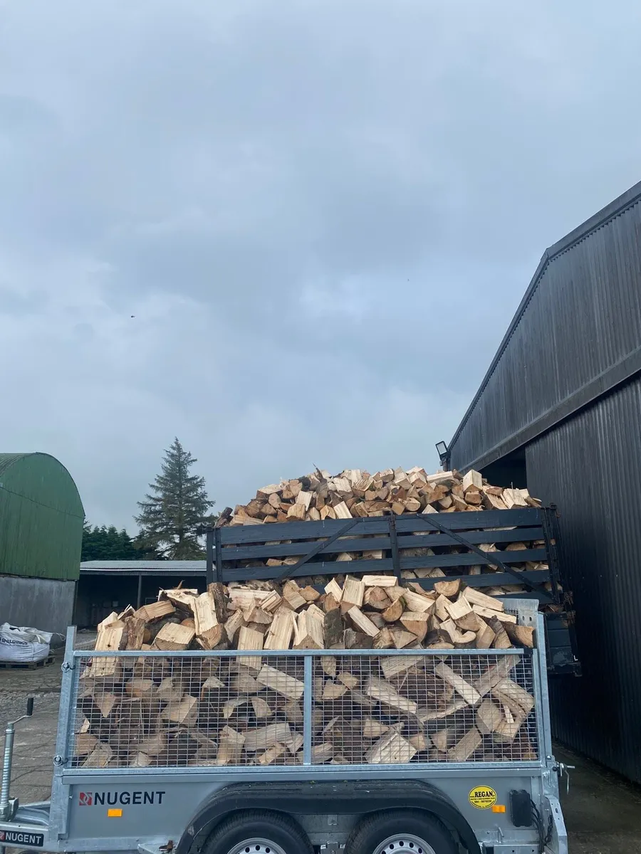 Timber for sale - Image 3