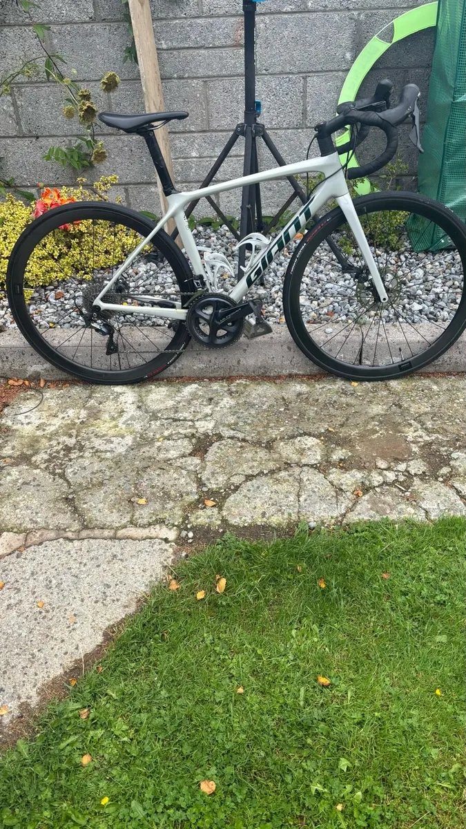 Giant TCR 1 - Image 1