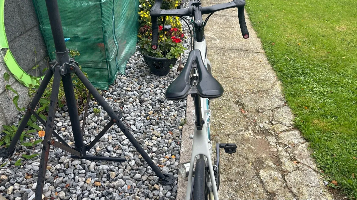 Giant TCR 1 - Image 3