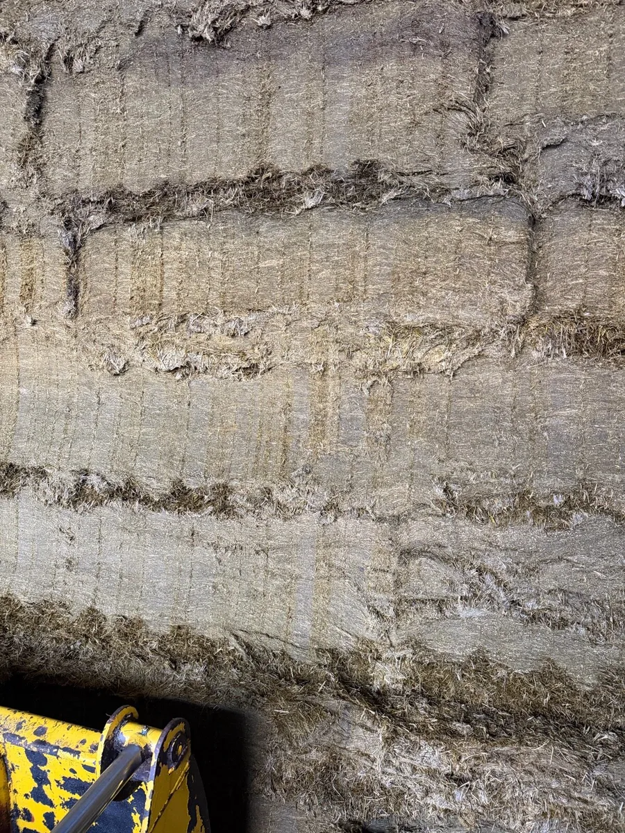 Pit silage - Image 1