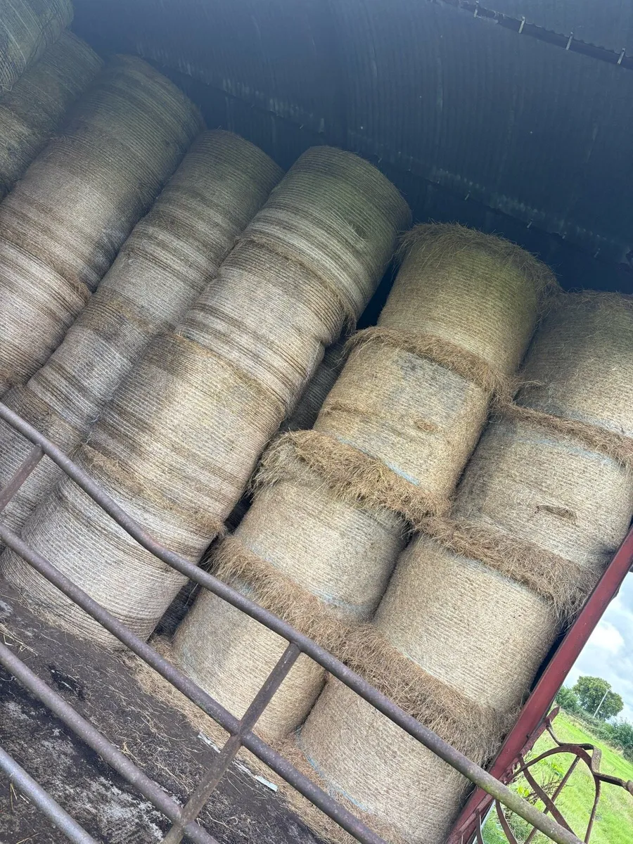 Hay - Image 3