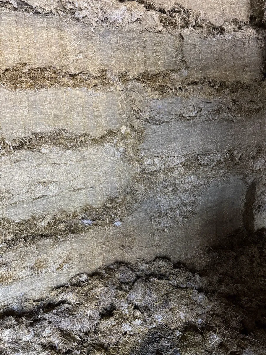 Pit silage - Image 4