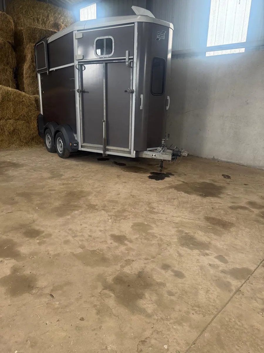 Ifor Williams Horse box 511 - Image 2