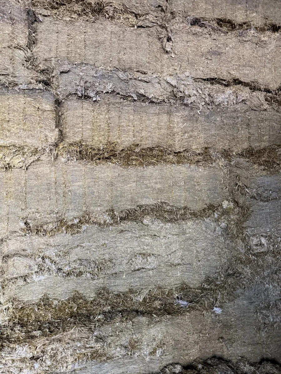 Pit silage - Image 3