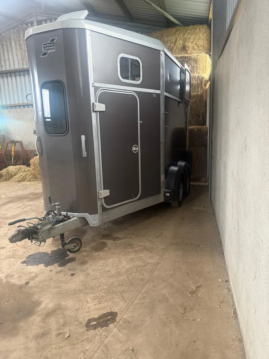 Ifor Williams Horse box 511 - Image 3
