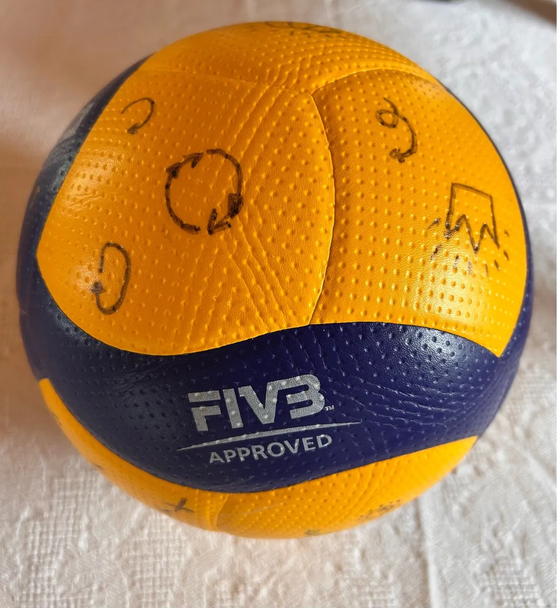 Volleyball - Image 1
