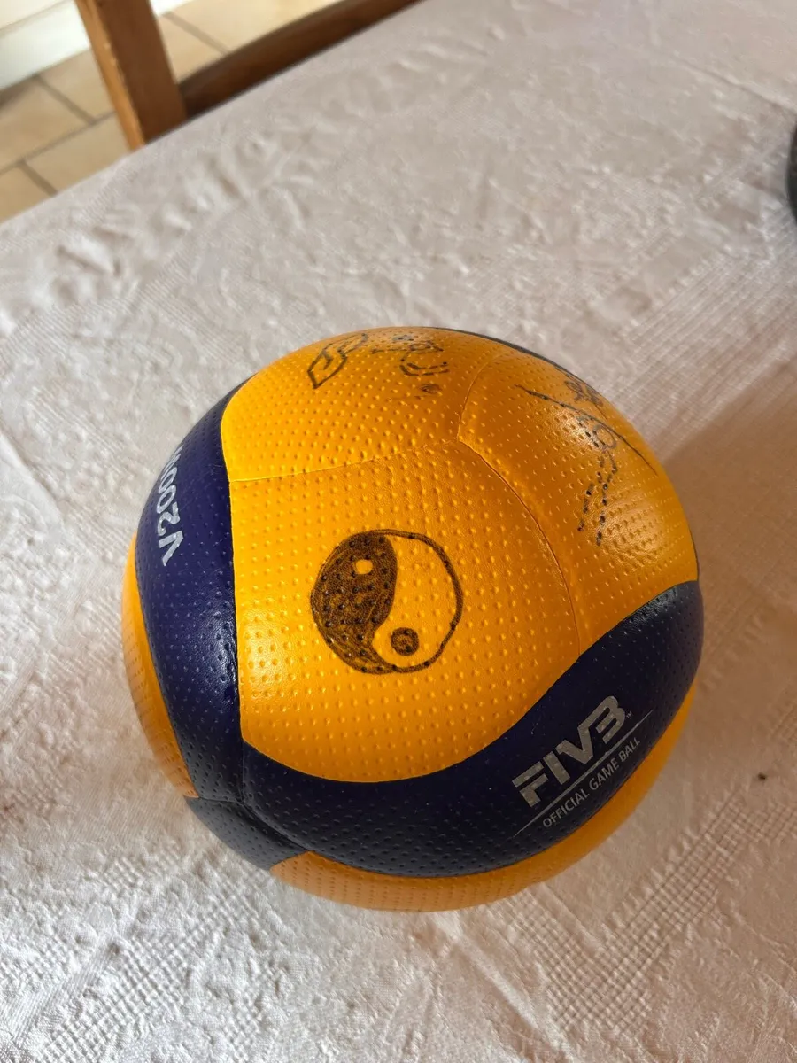 Volleyball - Image 2