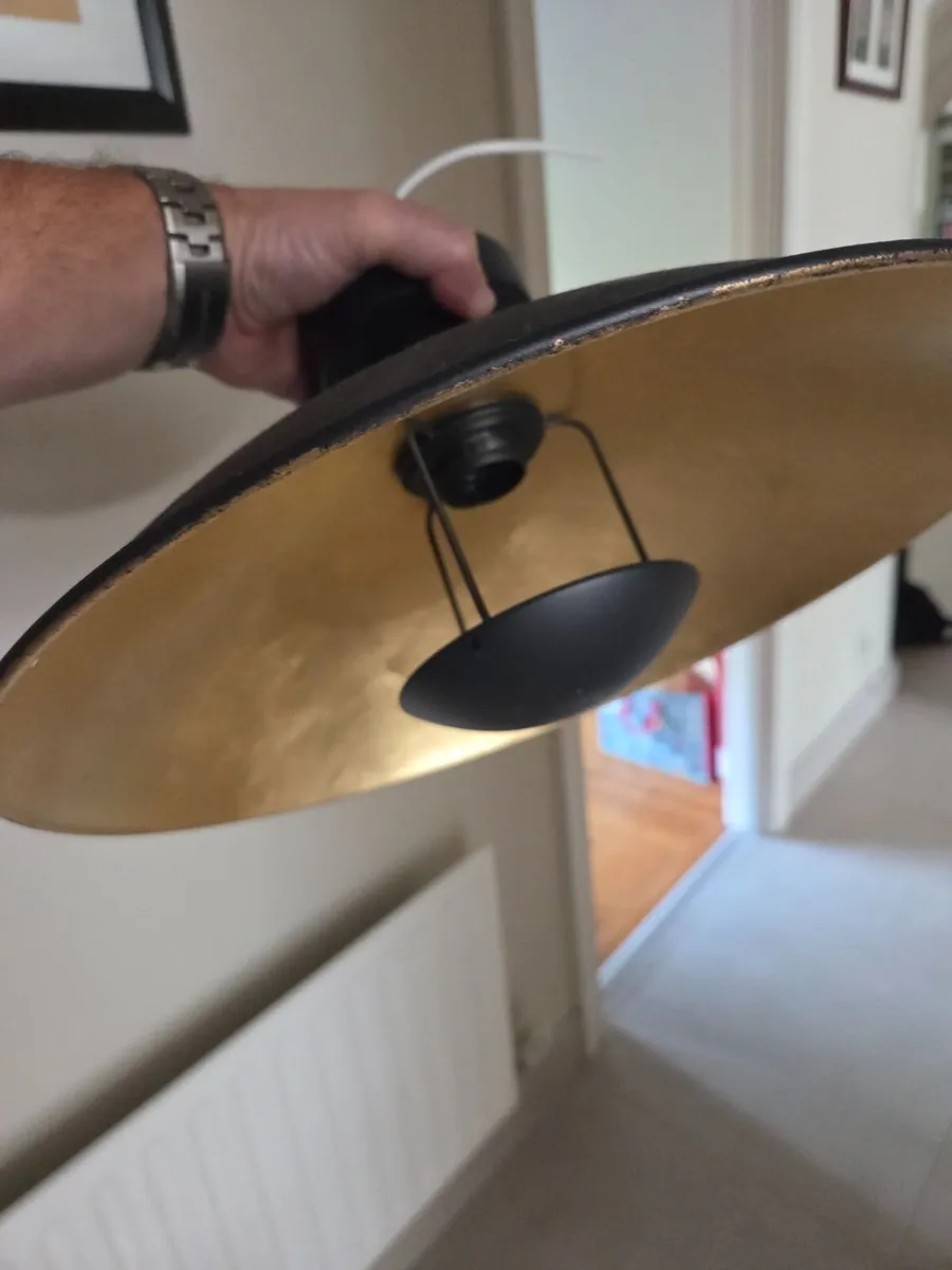 Ceiling light for FREE
