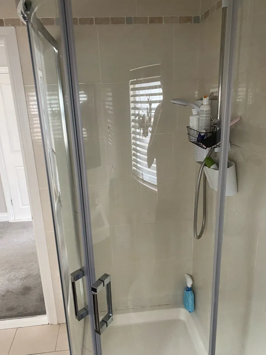 Shower door - Image 1