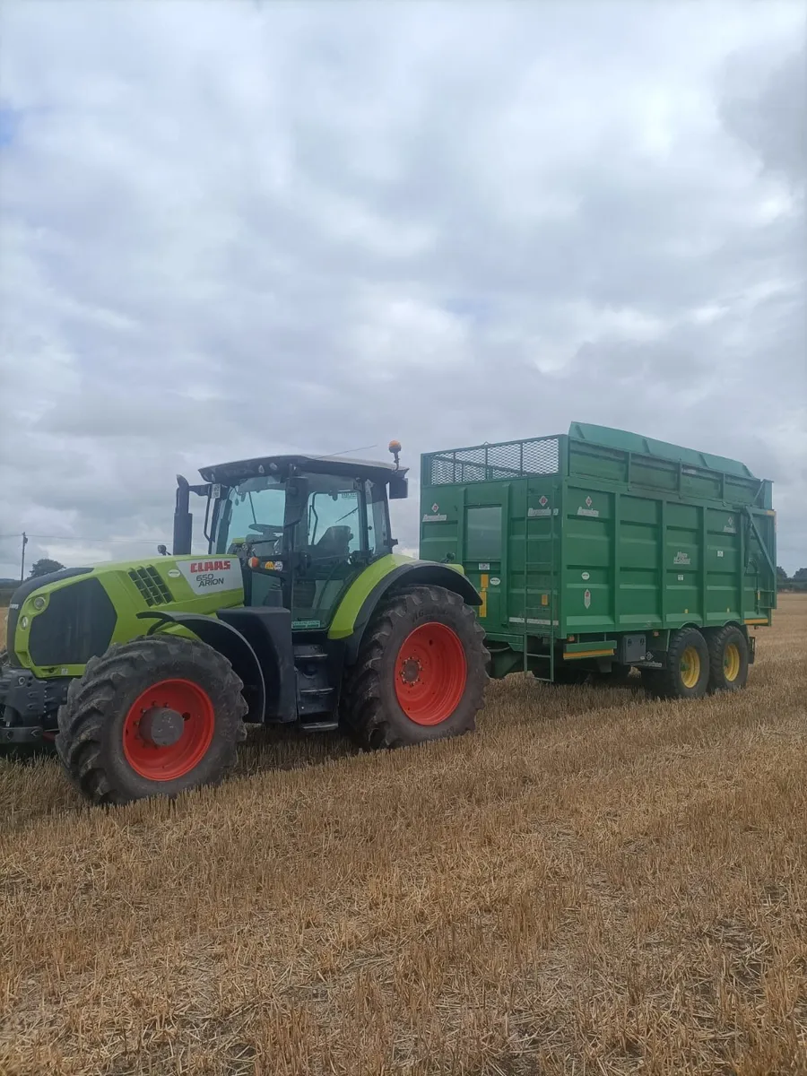 Silage and grain trailers - Image 3