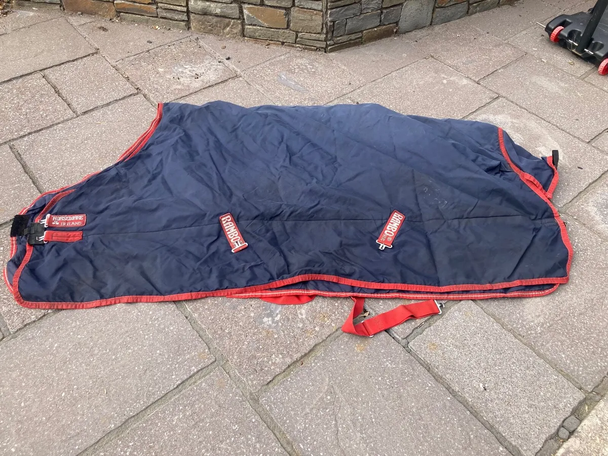 Professionally Cleaned - HorseWare Rambo rug - Image 2