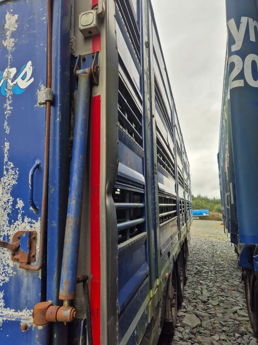 Cattle/Sheep trailer - Image 3
