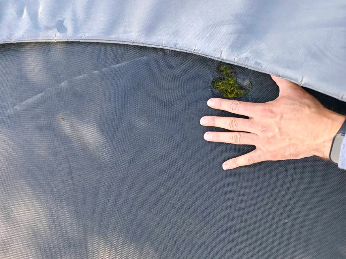 BERG 9ft Trampoline Complete or Breaking for Parts - Image 3