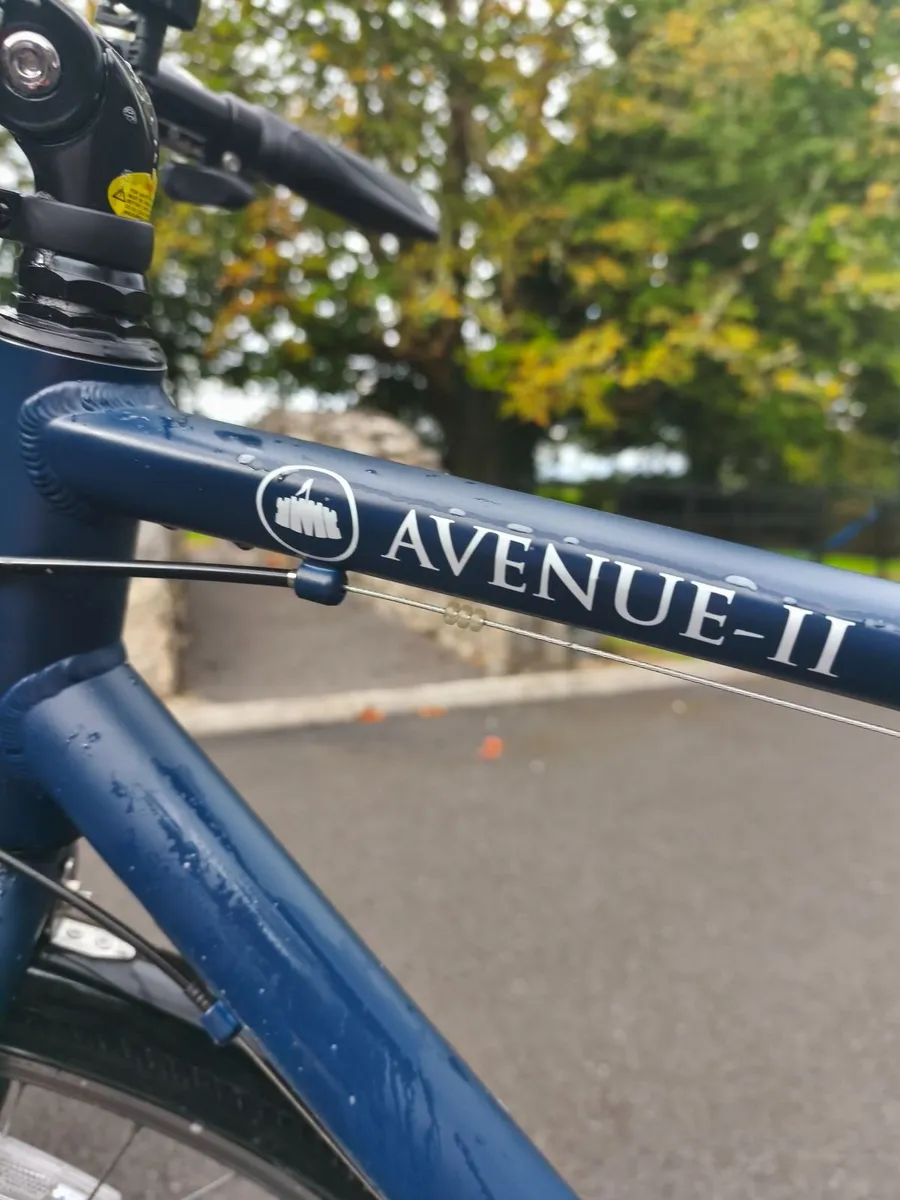 19'', L Frame, Adult Bike, Martello - Image 4