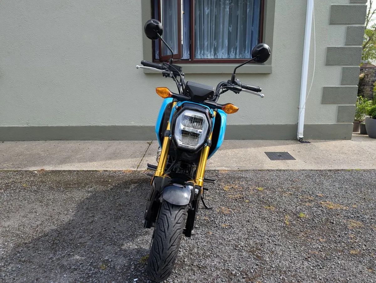 2024 Honda Grom MSX125 - Image 2